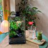 terrarium-thac-nuoc-tieu-canh-de-ban