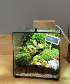 hop-rung-non-terrarium