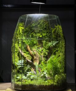 the-breath-of-jungle