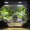aqua-heaven-terrarium-vucan-ban-can