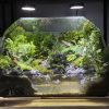 aqua-heaven-terrarium-vucan-ban-can