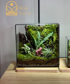 terrarium-moc-tam-luc