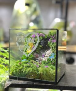 hop-rung-non-terrarium