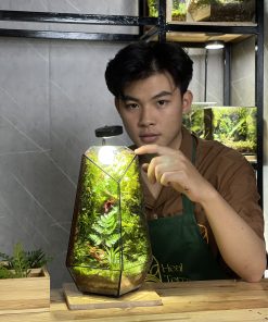 forest-lantern-chiec-den-mang-hoi-tho-cua-rung-heal-terra-4
