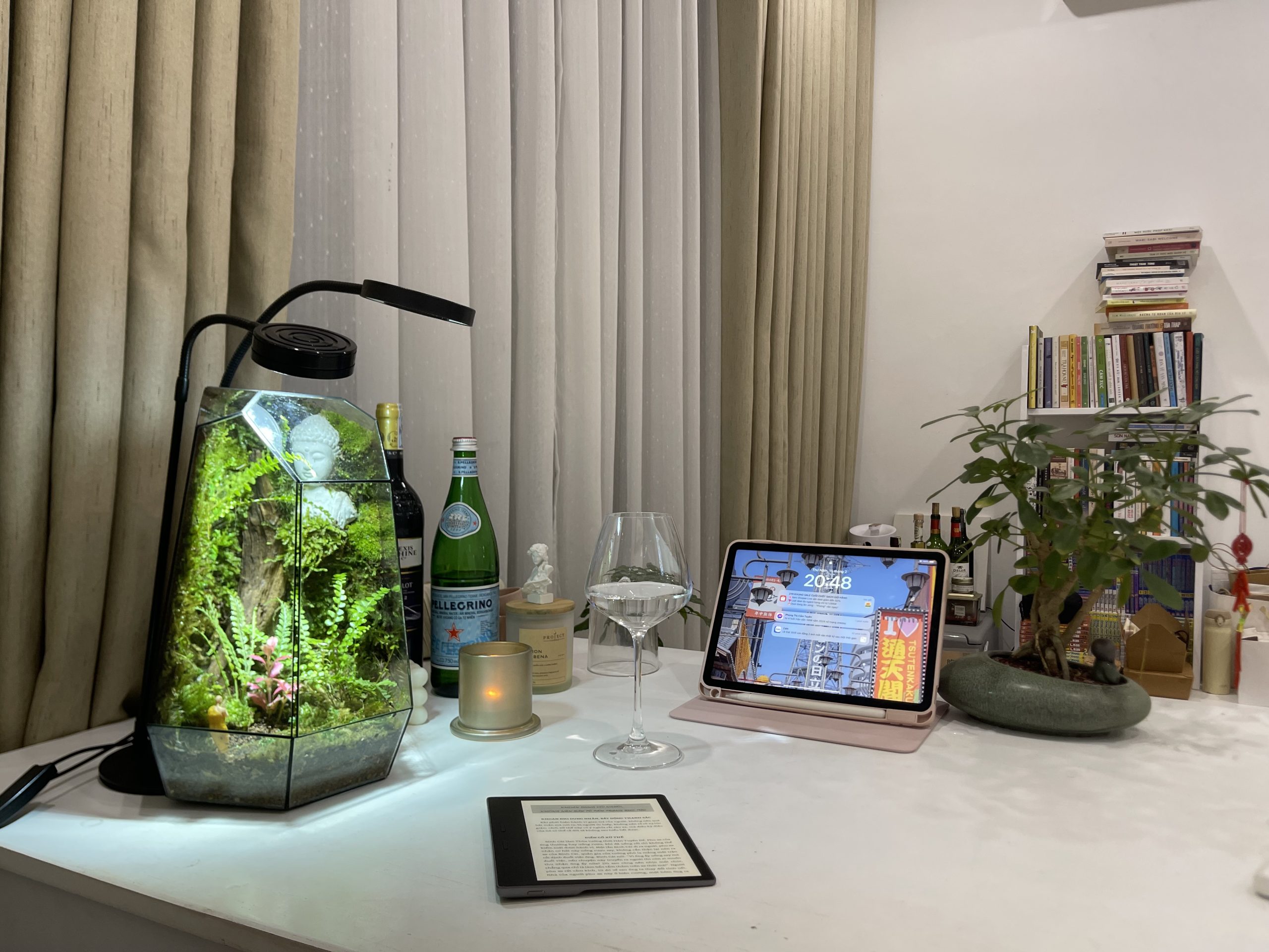 Bái Phật - Terrarium Đa Giác Cạn 20x20x34 - Ảnh 2