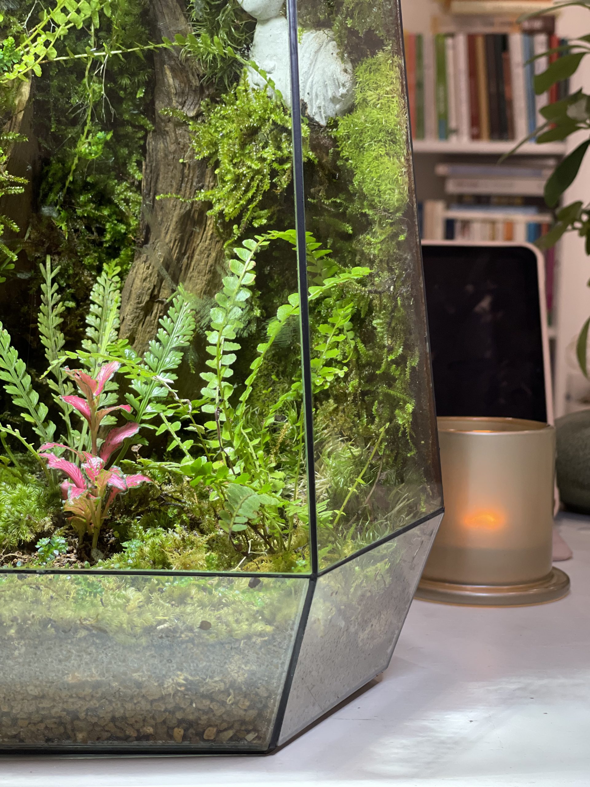 Bái Phật - Terrarium Đa Giác Cạn 20x20x34 - Ảnh 6