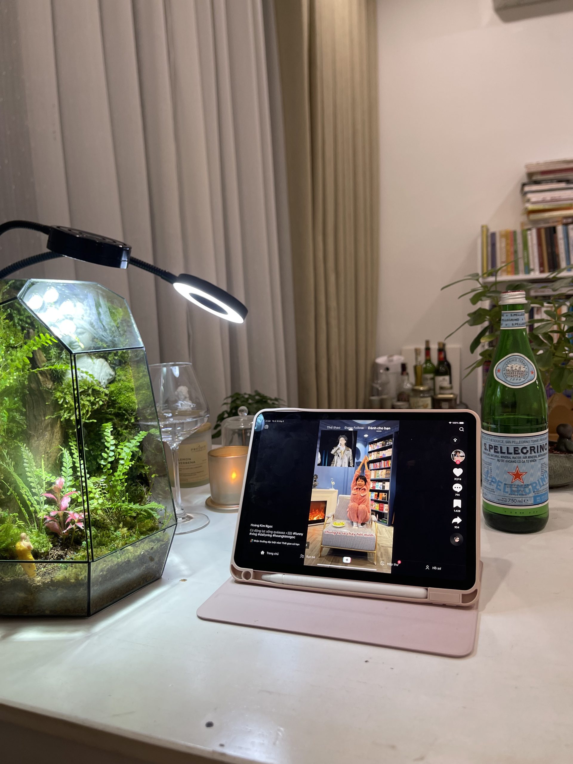Bái Phật - Terrarium Đa Giác Cạn 20x20x34 - Ảnh 4