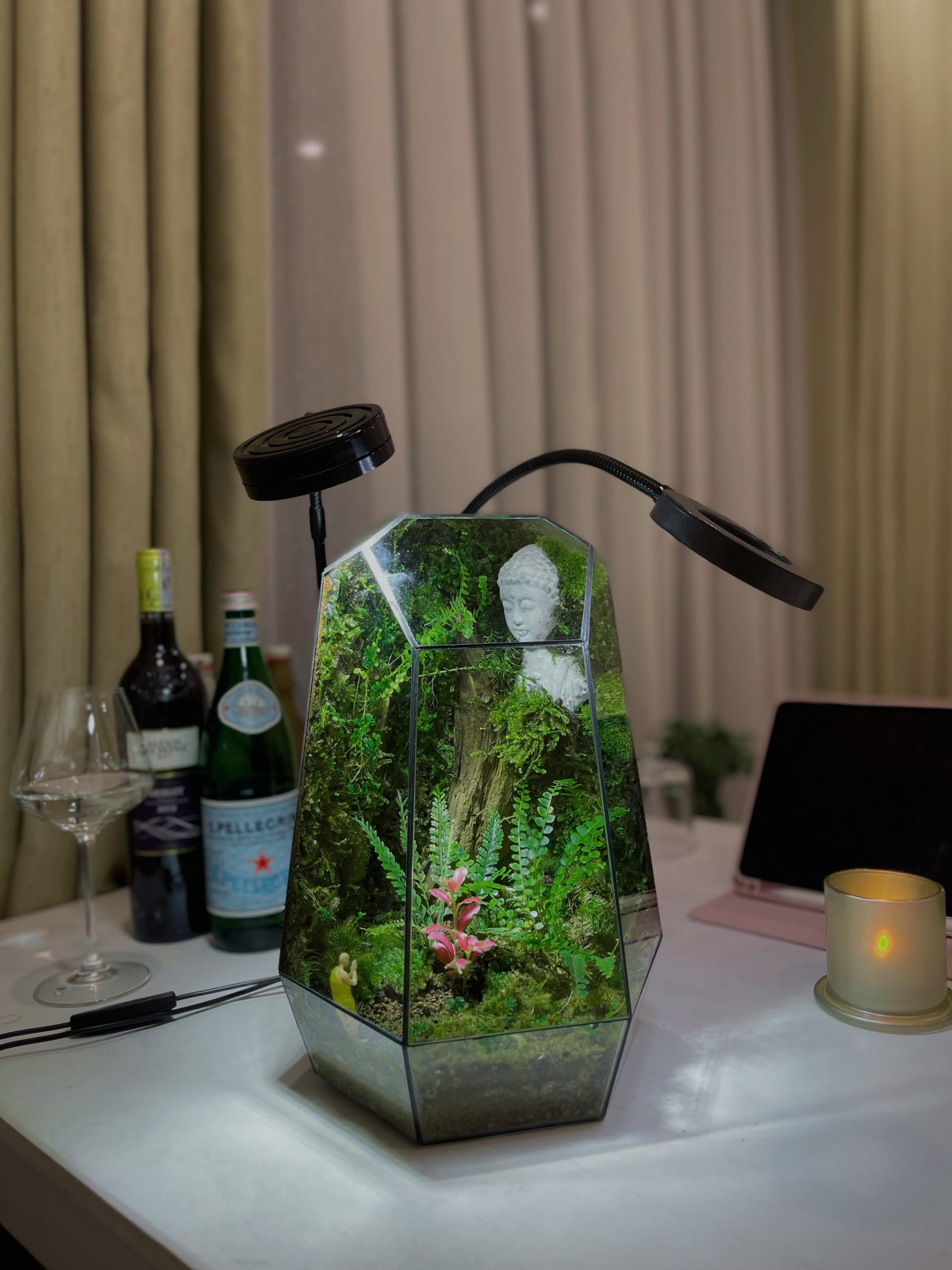 Bái Phật - Terrarium Đa Giác Cạn 20x20x34 - Ảnh 11