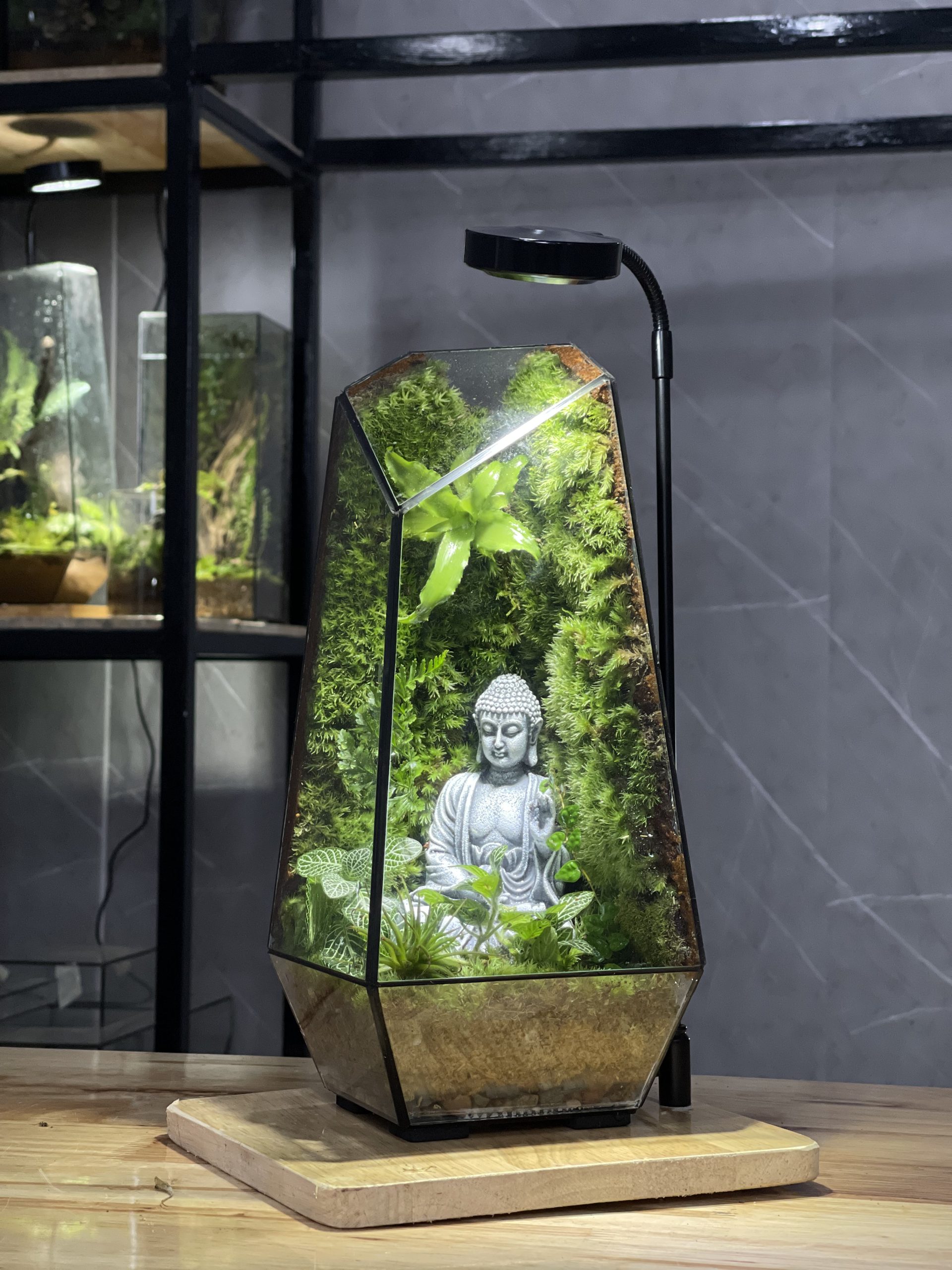 terrarium-phat-thien-dinh-5