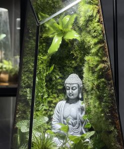 terrarium-phat-thien-dinh-2