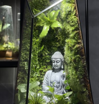 terrarium-phat-thien-dinh-2