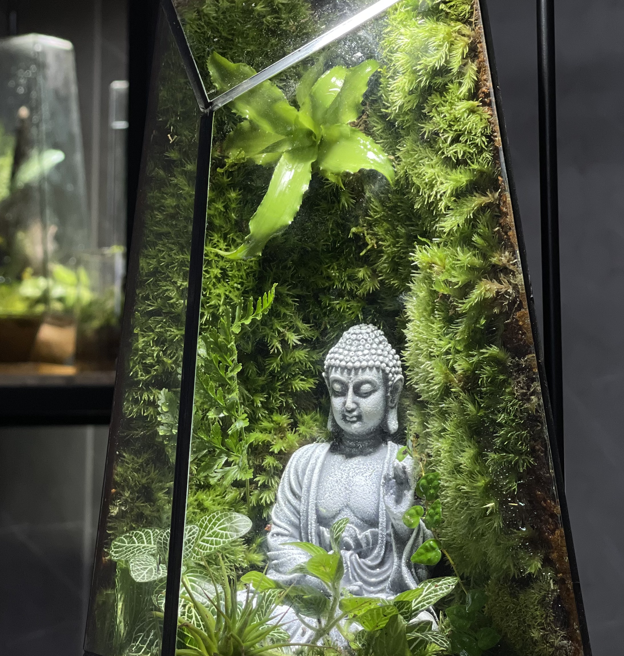 terrarium-phat-thien-dinh-2