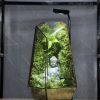 terrarium-phat-thien-dinh-3