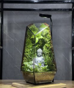 terrarium-phat-thien-dinh-3