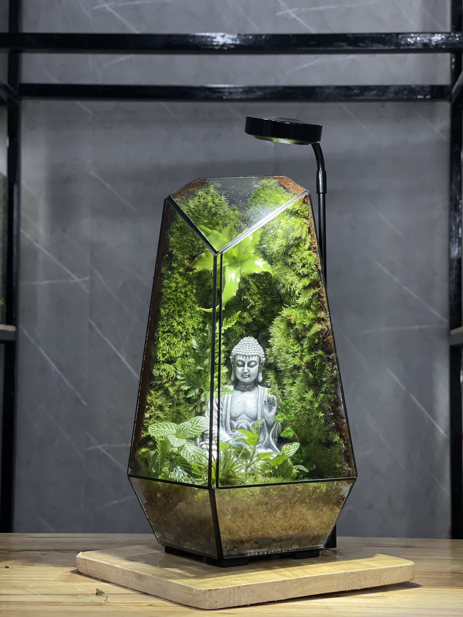 terrarium-phat-thien-dinh-3