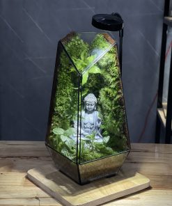 terrarium-phat-thien-dinh