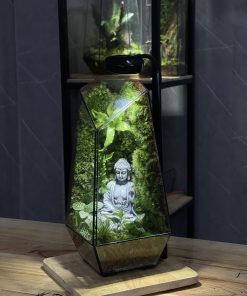 terrarium-phat-thien-dinh-1