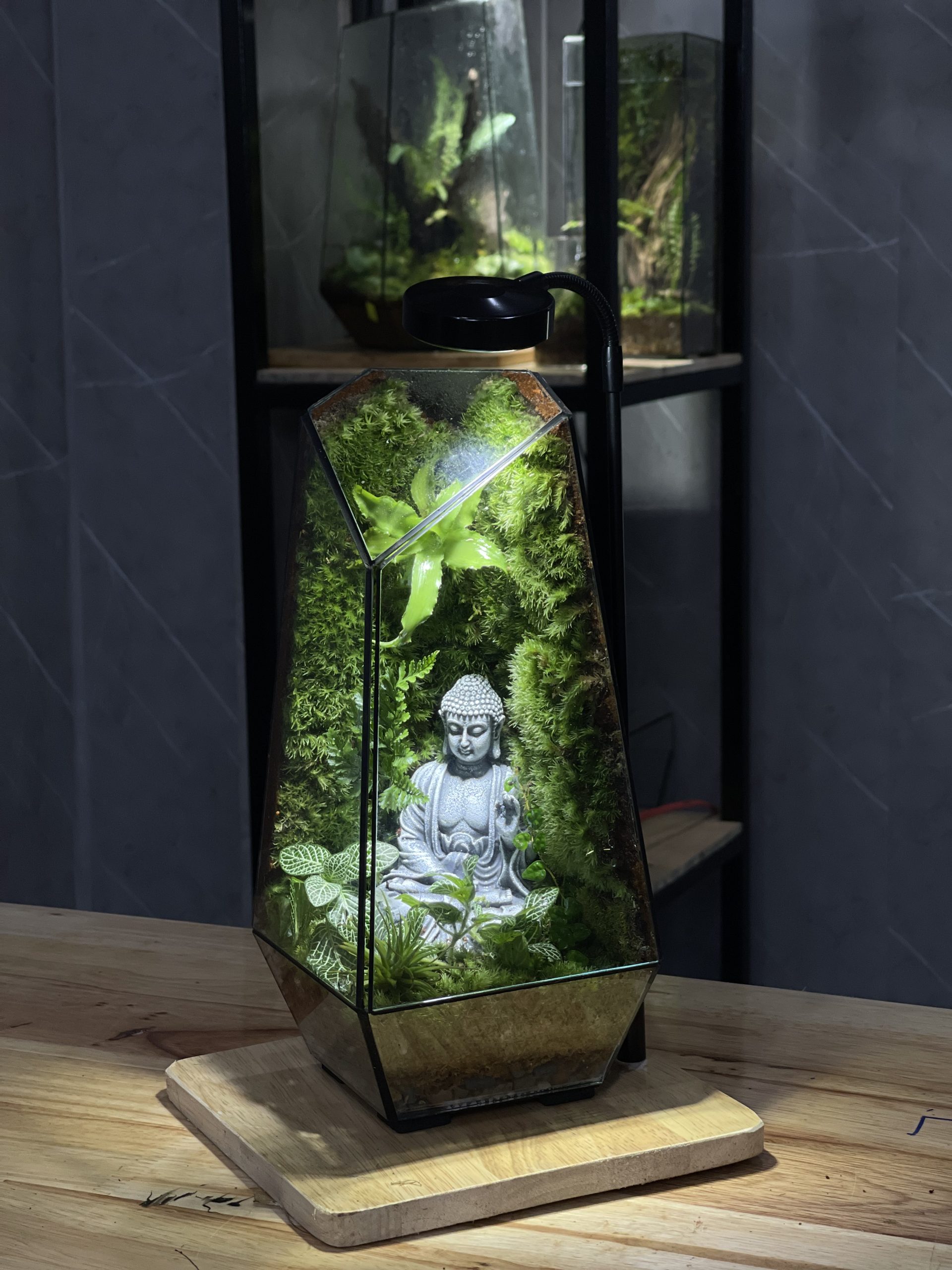 terrarium-phat-thien-dinh-1