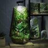 forest-lantern-chiec-den-mang-hoi-tho-cua-rung-heal-terra-1
