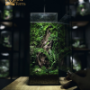 nature-heals-terrarium-can-10x10x30-1