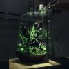 terrarium-ao-luc