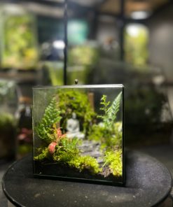 hop-rung-non-terrarium