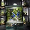 terrarium-gundam-chien-binh-cuoi-cung