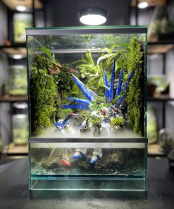 terrarium-gundam-chien-binh-cuoi-cung-2
