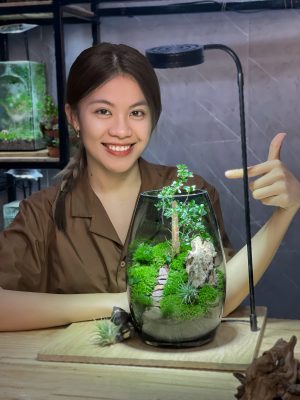 terrarium-ngon-doi