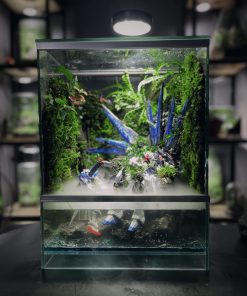 terrarium-gundam-chien-binh-cuoi-cung-5