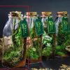 chai-terrarium-mini
