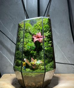 Tĩnh cảnh chi tiết hơn