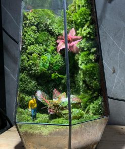 Tĩnh cảnh cận cảnh