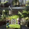 terrarium-cubic