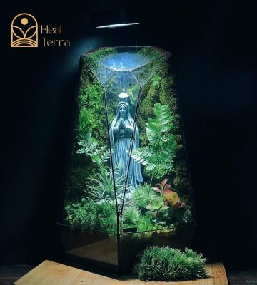 terrarium-quang-lam-thanh-mau-1
