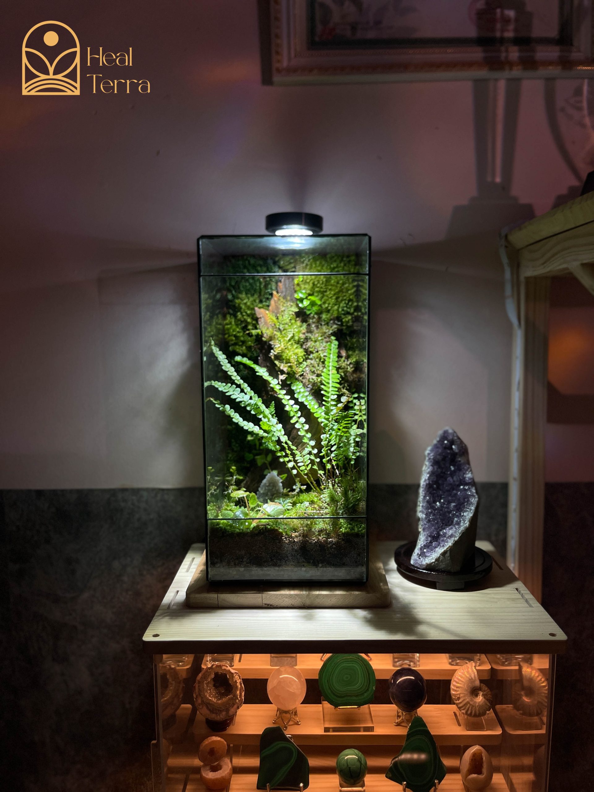 tinh-thach-lam-terrarium