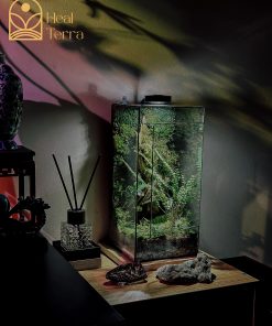 tinh-thach-lam-terrarium