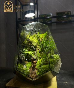 luc-minh-lam-dao-terrarium-da-giac-30x30x40