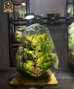 luc-minh-lam-dao-terrarium-da-giac-30x30x40