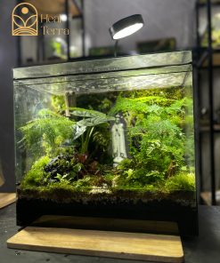 rung-mua-noi-duc-me-terrarium-mua