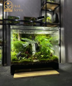 rung-mua-noi-duc-me-terrarium-mua