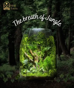 The breath of jungle
