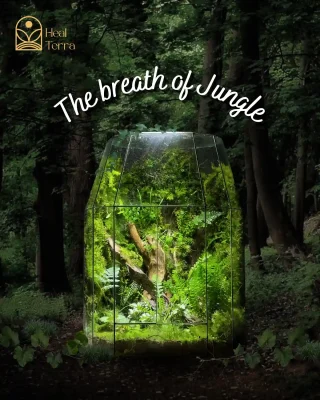 The breath of jungle