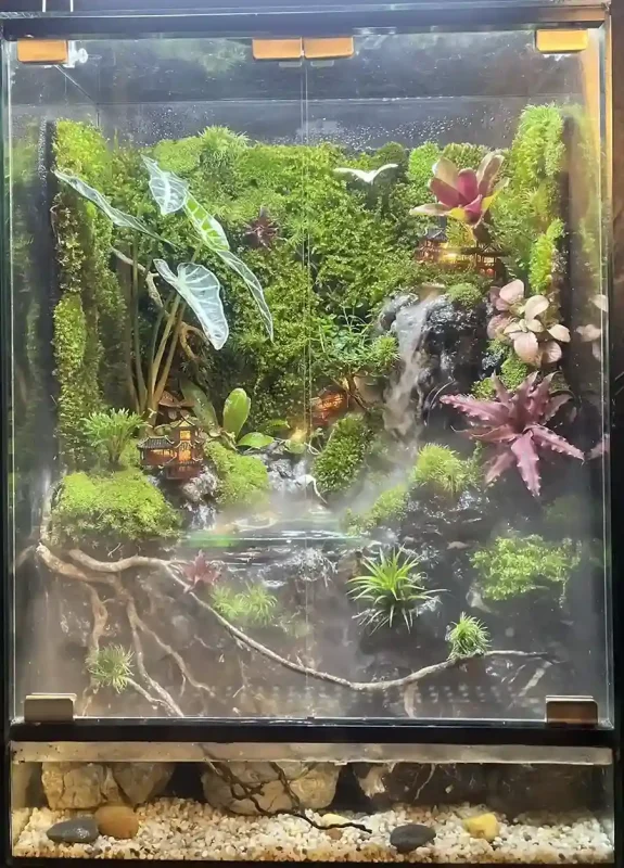 paludarium-heal-terra