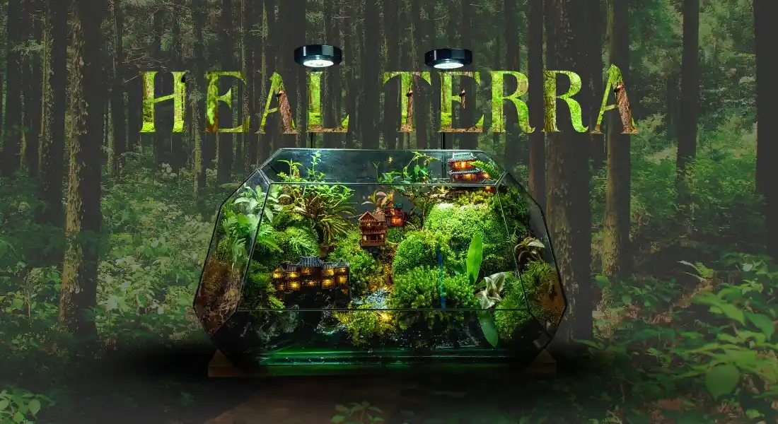 phuong-hoang-co-tran-heal-terra_nen
