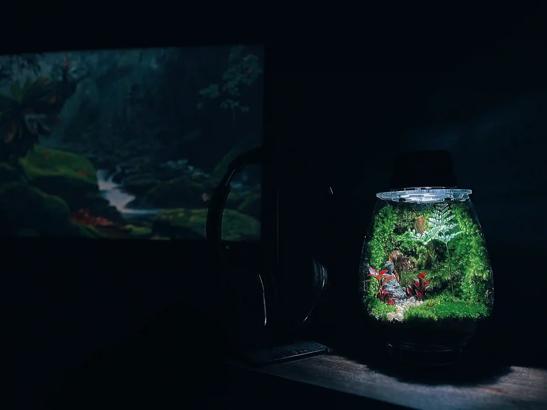 terrarium-heal-terra