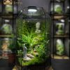 terrarium-thien-su-bai-phat-
