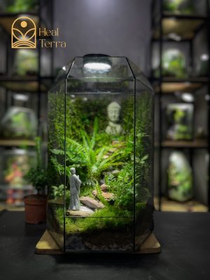 terrarium-thien-su-bai-phat-