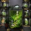 terrarium-thien-su-bai-phat--6