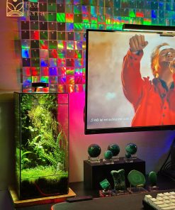 tinh-thach-lam-terrarium